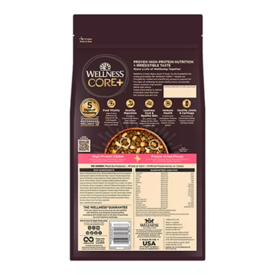 Product Wellness CORE+ Sensitive Skin & Stomach Adult Dry Dog Food - Salmon & Rice
