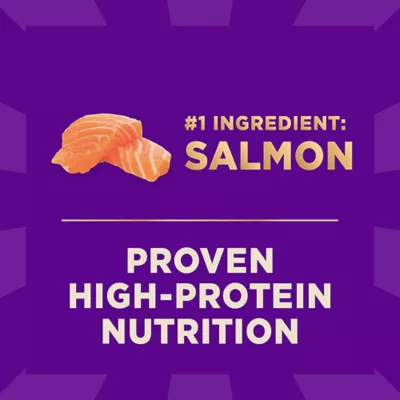 Product Wellness CORE+ Sensitive Skin & Stomach Adult Dry Dog Food - Salmon & Rice