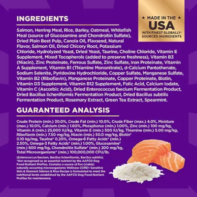 Product Wellness CORE+ Sensitive Skin & Stomach Adult Dry Dog Food - Salmon & Rice