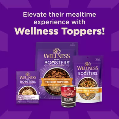 Product Wellness CORE+ Sensitive Skin & Stomach Adult Dry Dog Food - Salmon & Rice