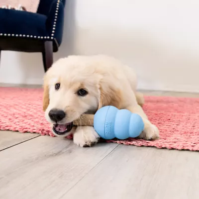 Product Kong Ziggies Dog Treat