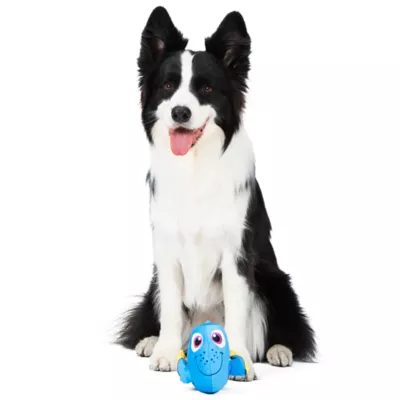 Product Dory Squeaker Crinkle Plush Dog Toy