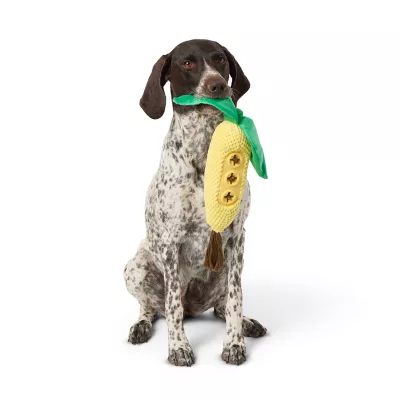 Product Joyhound Corn Treat Dispensing Plush Dog Toy