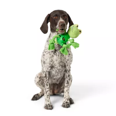 Product Joyhound Alligator Treat Dispensing Rope Dog Toy