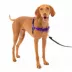 PetSafe® Easy Walk Dog Harness, No Pull Dog Harness, Multiple Sizes & Colors image thumbnail 1