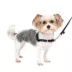 PetSafe® Easy Walk Dog Harness, No Pull Dog Harness, Multiple Sizes & Colors image thumbnail 1