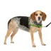 PetSafe® Easy Walk Dog Harness, No Pull Dog Harness, Multiple Sizes & Colors image thumbnail 1