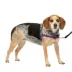 PetSafe® Easy Walk Dog Harness, No Pull Dog Harness, Multiple Sizes & Colors image thumbnail 1