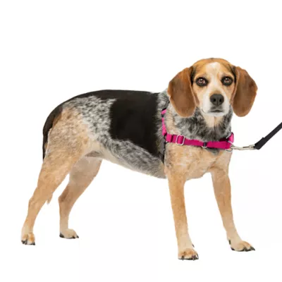 Product PetSafe® Easy Walk Harness, No Pull Dog Harness