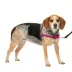PetSafe® Easy Walk Dog Harness, No Pull Dog Harness, Multiple Sizes & Colors image thumbnail 1