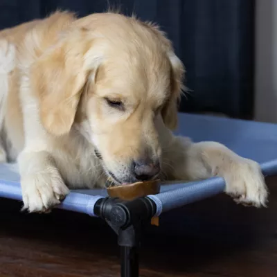 Starmark Cookie Cup Treat 3-Pack - Image 4