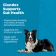 Product Glandex® Daily Prebiotic & Probiotic Digestive Health Soft Chews for Dogs - Bacon, 60 count