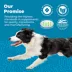Glandex® Daily Prebiotic & Probiotic Digestive Health Soft Chews for Dogs - Bacon, 60 count image thumbnail 8