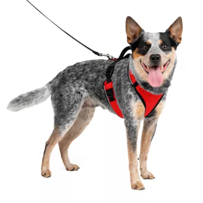PetSafe® EasySport Nylon Reflective Dog Harness - Image 1