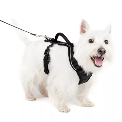 PetSafe® EasySport Nylon Reflective Dog Harness - Image 1