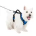 PetSafe® EasySport Nylon Reflective Dog Harness image thumbnail 1