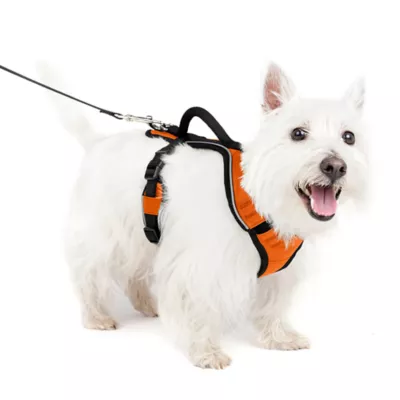 PetSafe® EasySport Nylon Reflective Dog Harness - Image 1