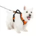 PetSafe® EasySport Nylon Reflective Dog Harness image thumbnail 1