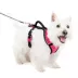 PetSafe® EasySport Nylon Reflective Dog Harness image thumbnail 1