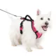 Product PetSafe® EasySport Nylon Reflective Dog Harness