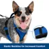 PetSafe® EasySport Nylon Reflective Dog Harness image thumbnail 2