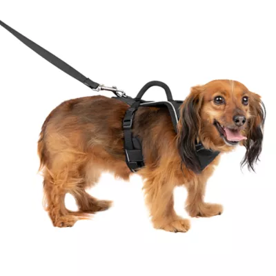 PetSafe® EasySport Nylon Reflective Dog Harness - Image 1