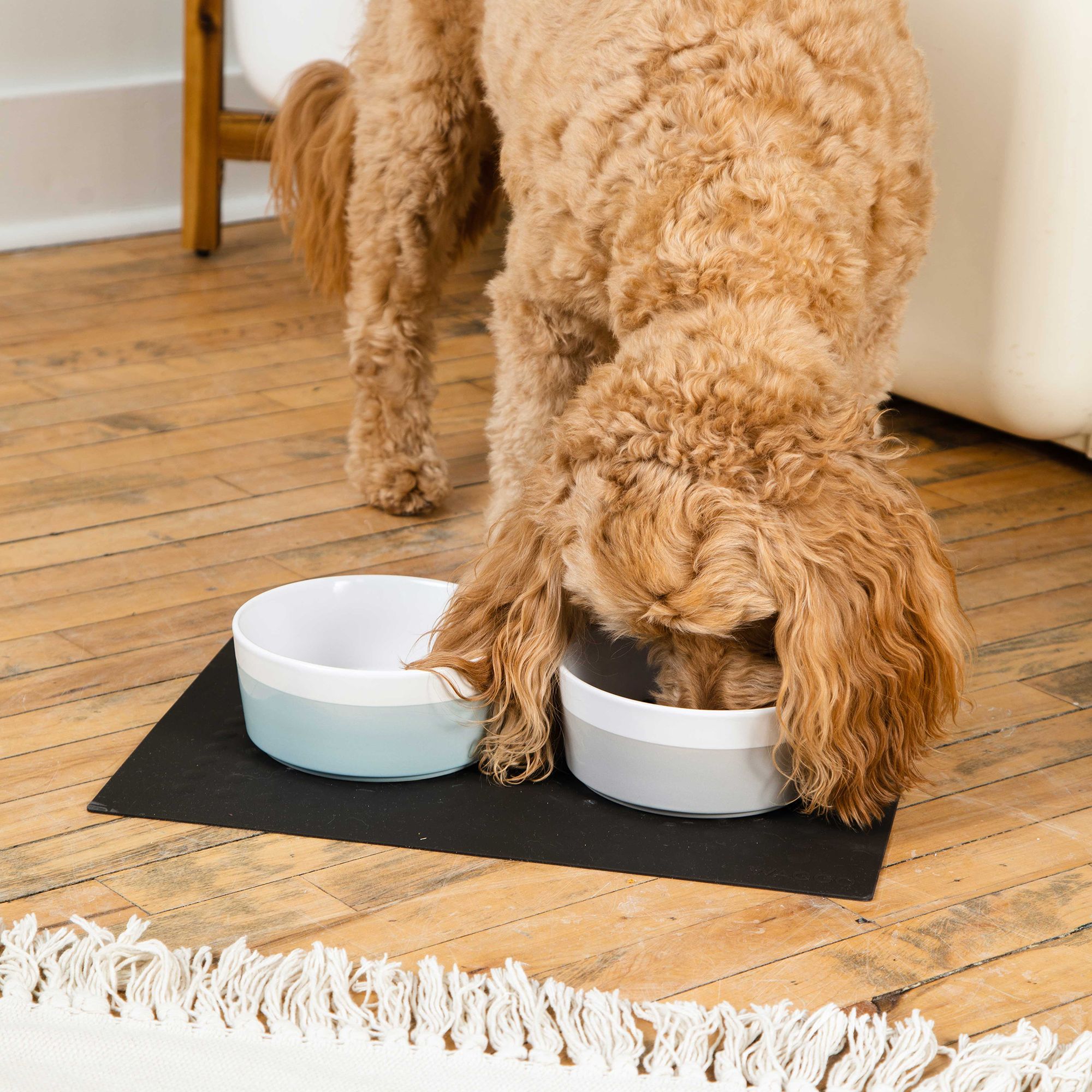 Waggo Ceramic Dipper Pet Bowl - thumbnail 2