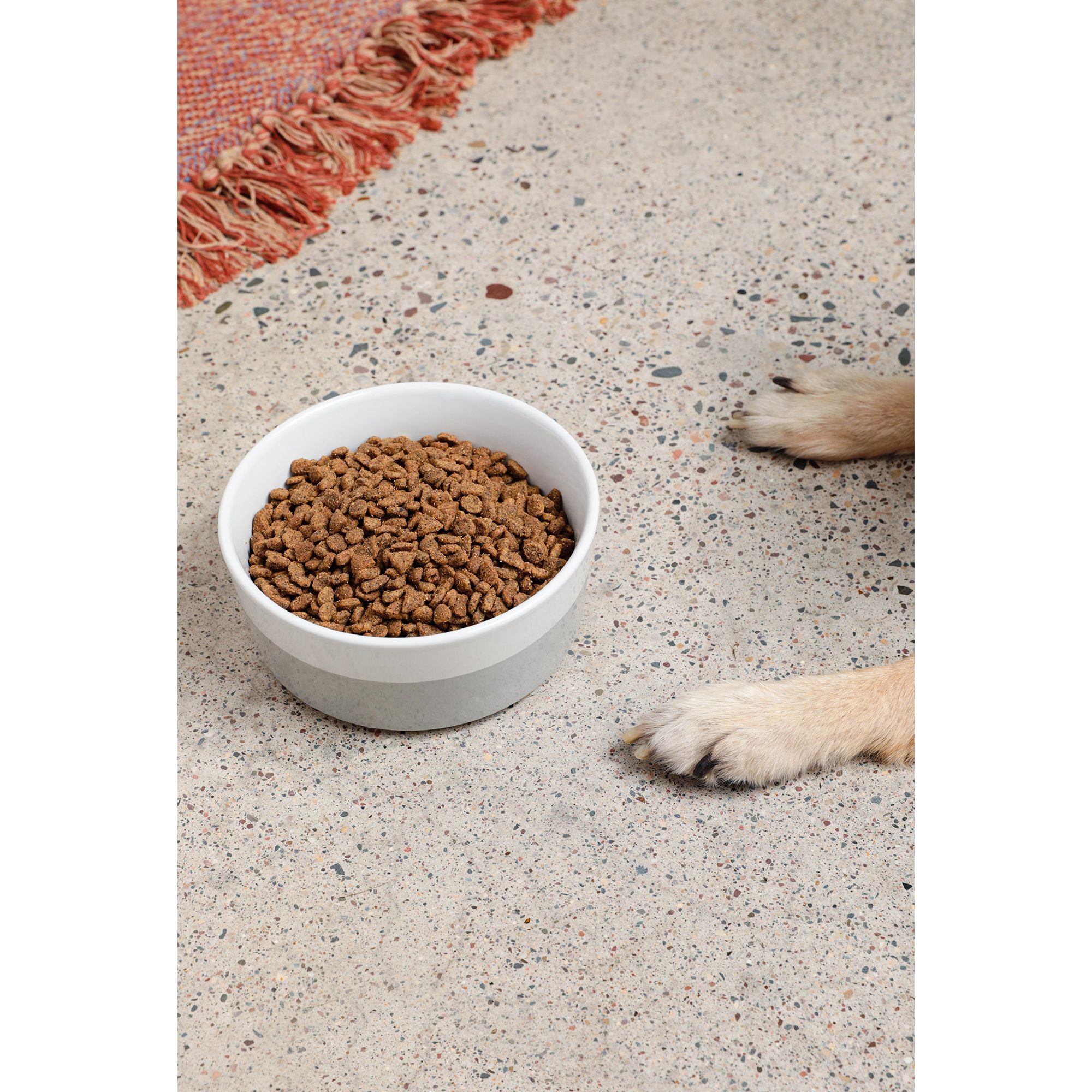 Waggo Ceramic Dipper Pet Bowl - thumbnail 4