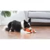 Nemo Squeaker Crinkle Plush Dog Toy image thumbnail 2
