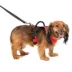 PetSafe® EasySport Nylon Reflective Dog Harness image thumbnail 1