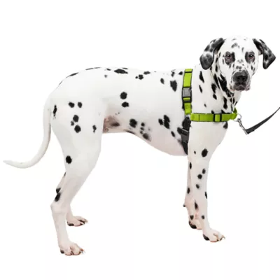 PetSafe® Easy Walk Deluxe Dog Harness, No Pull Harness, Padded, Reflective, Multiple Sizes & Colors - Image 1