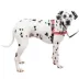 PetSafe® Easy Walk Deluxe Dog Harness, No Pull Harness, Padded, Reflective, Multiple Sizes & Colors image thumbnail 1