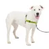 PetSafe® Easy Walk Deluxe Dog Harness, No Pull Harness, Padded, Reflective, Multiple Sizes & Colors image thumbnail 1