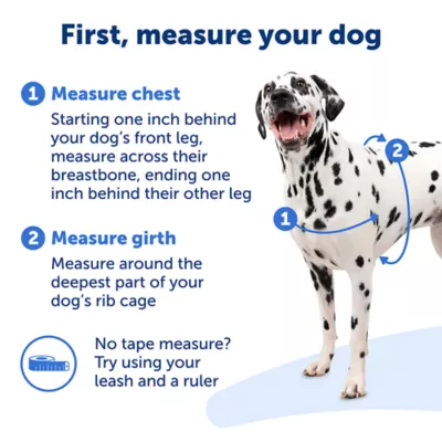 PetSafe® Easy Walk Deluxe Dog Harness, No Pull Harness, Padded, Reflective, Multiple Sizes & Colors - Image 4