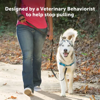 PetSafe® Easy Walk Deluxe Dog Harness, No Pull Harness, Padded, Reflective, Multiple Sizes & Colors - Image 2