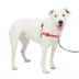 PetSafe® Easy Walk Deluxe Dog Harness, No Pull Harness, Padded, Reflective, Multiple Sizes & Colors image thumbnail 1