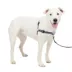 PetSafe® Easy Walk Deluxe Dog Harness, No Pull Harness, Padded, Reflective, Multiple Sizes & Colors image thumbnail 1