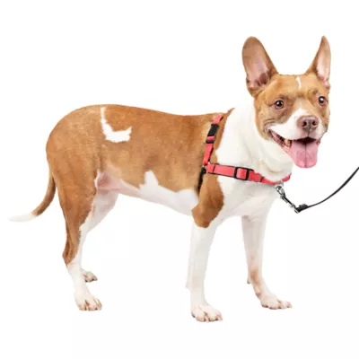 PetSafe® Easy Walk Deluxe Dog Harness, No Pull Harness, Padded, Reflective, Multiple Sizes & Colors - Image 1