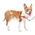 PetSafe® Easy Walk Deluxe Dog Harness, No Pull Harness, Padded, Reflective, Multiple Sizes & Colors image thumbnail 1