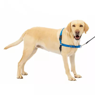 Product PetSafe® Easy Walk Harness, No Pull Dog Harness