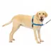PetSafe® Easy Walk Dog Harness, No Pull Dog Harness, Multiple Sizes & Colors image thumbnail 1