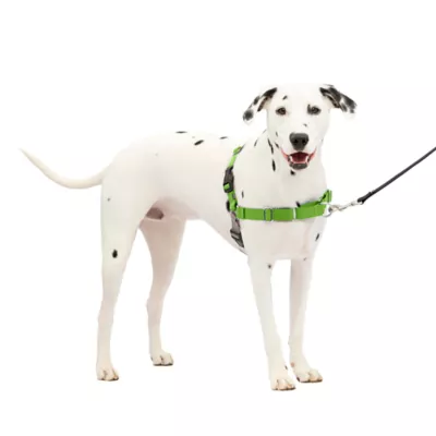 Product PetSafe® Easy Walk Harness, No Pull Dog Harness