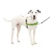 PetSafe® Easy Walk Dog Harness, No Pull Dog Harness, Multiple Sizes & Colors image thumbnail 1
