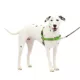 Product PetSafe® Easy Walk Harness, No Pull Dog Harness