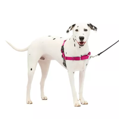 PetSafe® Easy Walk Dog Harness, No Pull Dog Harness, Multiple Sizes & Colors - Image 1