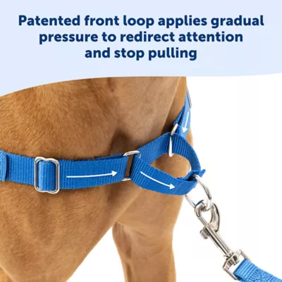 PetSafe® Easy Walk Dog Harness, No Pull Dog Harness, Multiple Sizes & Colors - Image 3