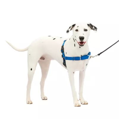 PetSafe® Easy Walk Dog Harness, No Pull Dog Harness, Multiple Sizes & Colors - Image 1