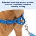 PetSafe® Easy Walk Dog Harness, No Pull Dog Harness, Multiple Sizes & Colors image thumbnail 3