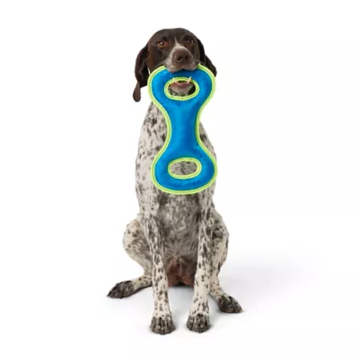 Product Joyhound Game On Double-Handle Tug Squeaker Dog Toy