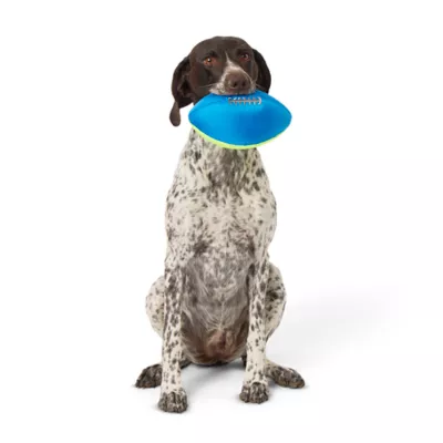 Product Joyhound Game On Active Football Squeaker Dog Toy